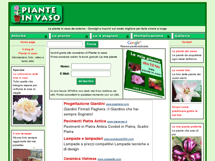 www.pianteinvaso.com