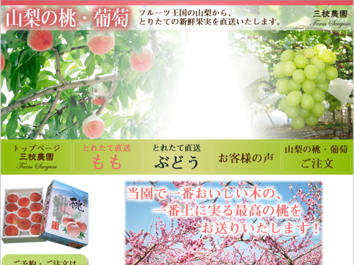 www.s-branch.com