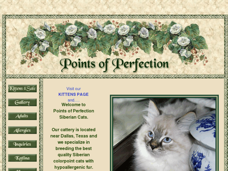 www.siberiancatsusa.com