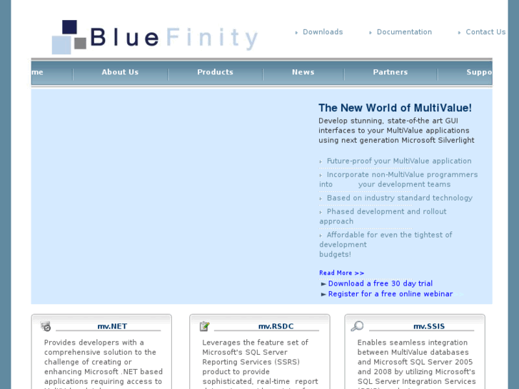 www.bluefinity.com