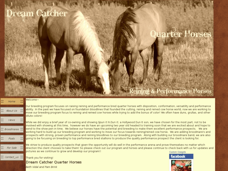 www.dreamcatcherquarterhorses.com