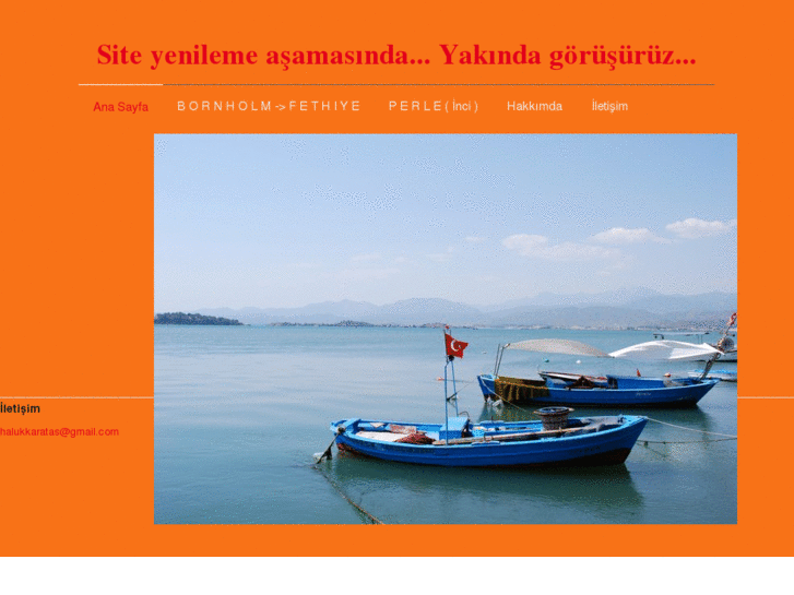 www.halukkaratas.com