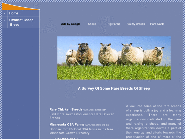 www.rarebreedsofsheep.com