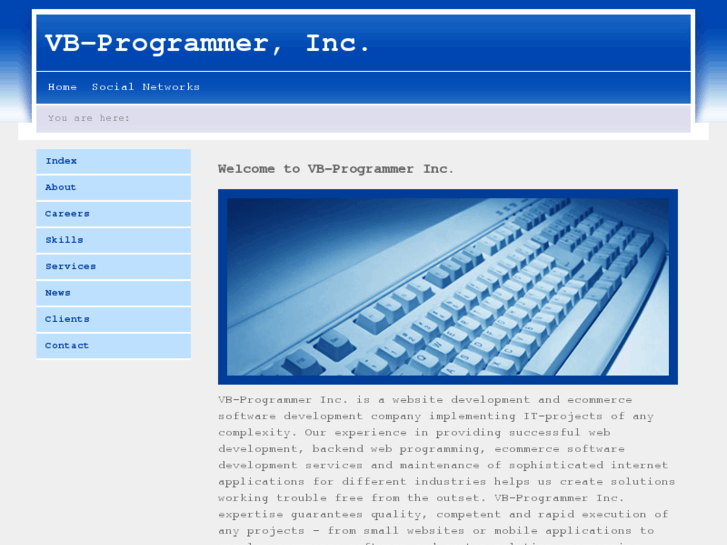 www.vb-programmer.com