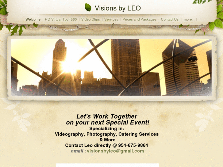 www.visionsbyleo.com