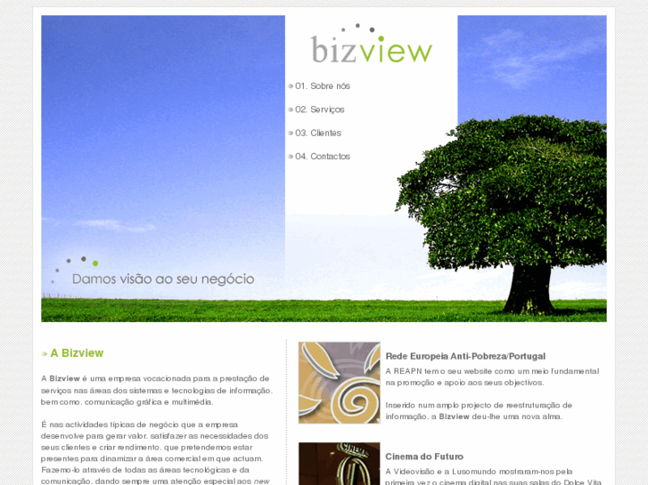 www.bizview.pt