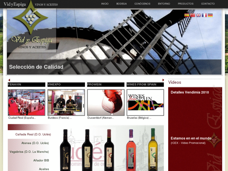 www.bodegasvidyespiga.com