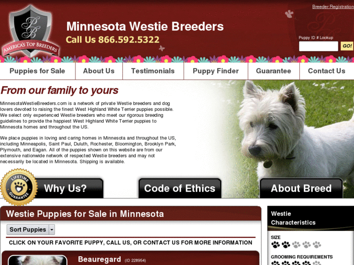 www.minnesotawestiebreeders.com