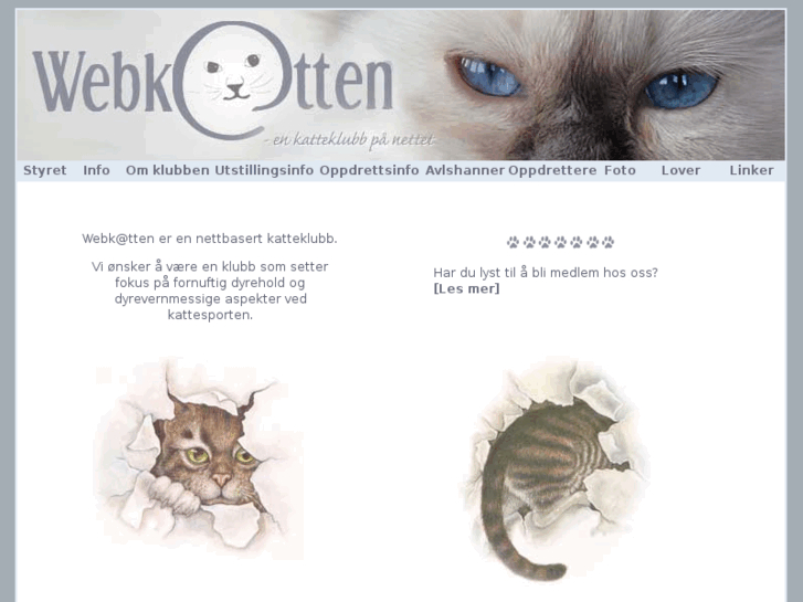 www.webkatten.biz