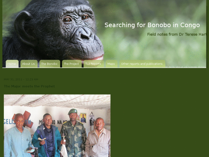 www.bonoboincongo.com