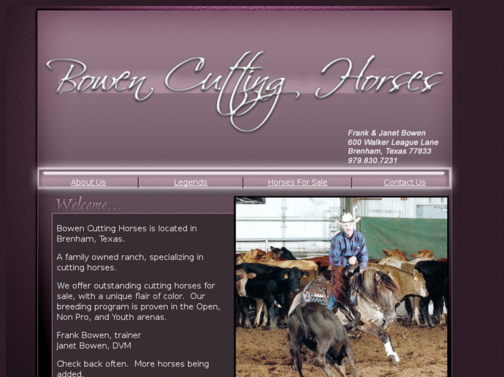 www.bowencuttinghorses.com