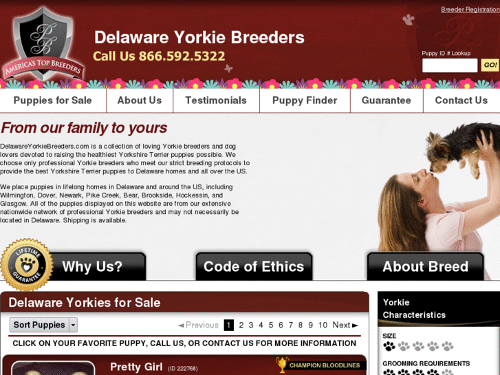 www.delawareyorkiebreeders.com