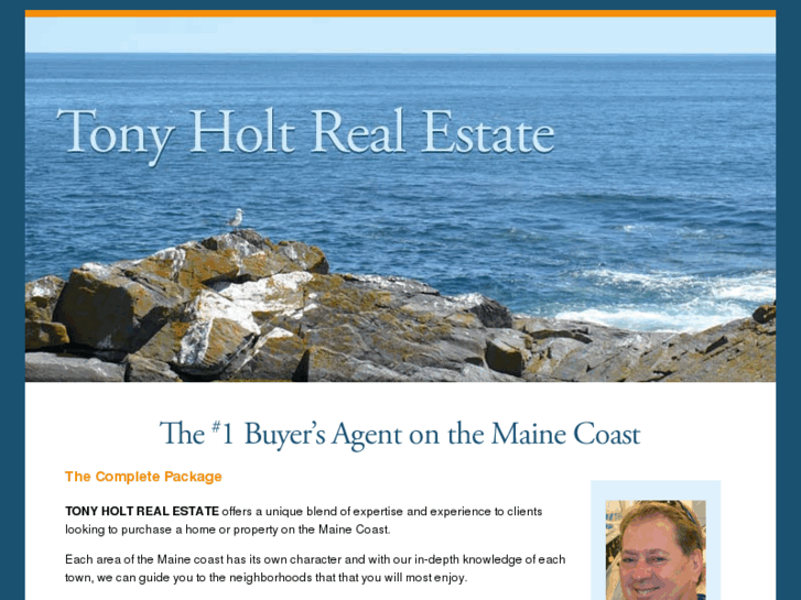 www.tonyholtrealestate.com