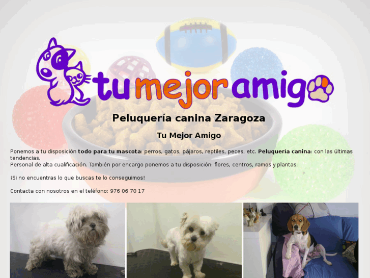 www.tumejoramigo.net