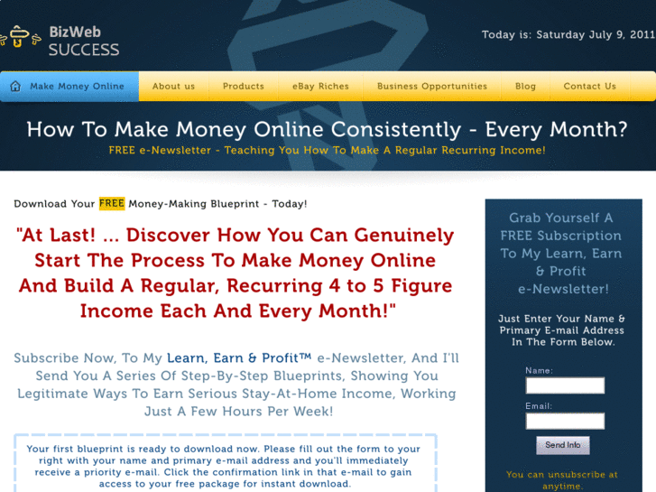 www.bizwebsuccess.com