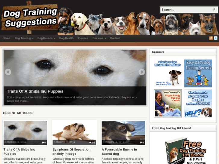 www.dogtrainingsuggestions.com