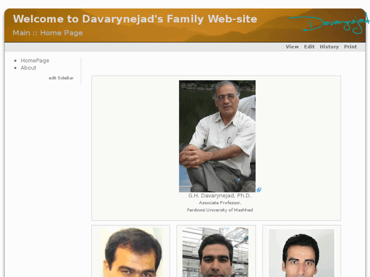 www.davarynejad.com