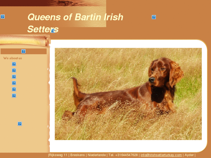 www.irishsetterturkey.com