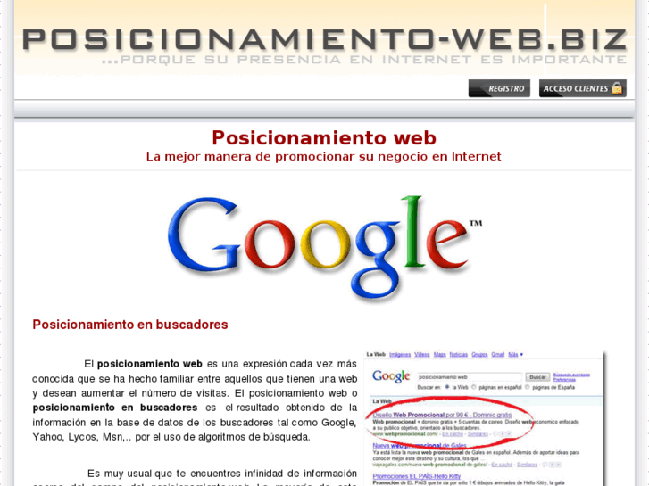 www.posicionamiento-web.biz