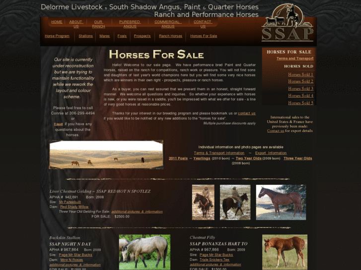 www.ranchbrokegeldings.com