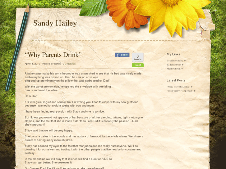 www.sandyhailey.com