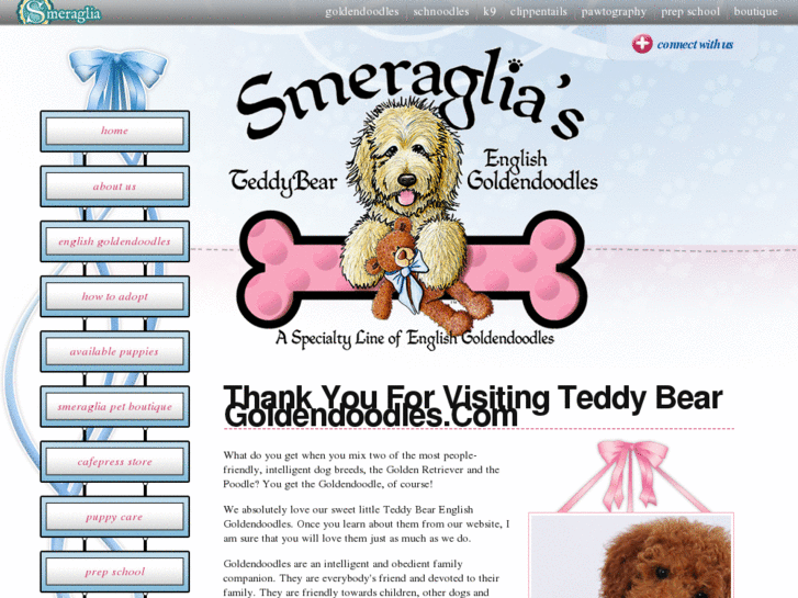 www.teddybeargoldendoodles.com