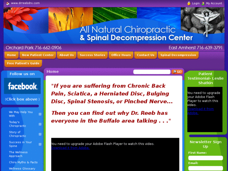 www.allnaturalchiropractic.com