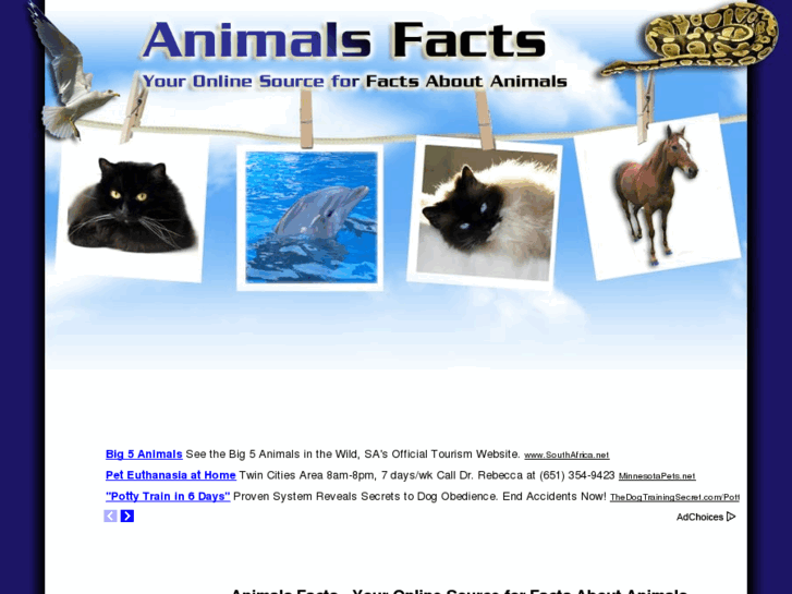 www.animals-facts.com