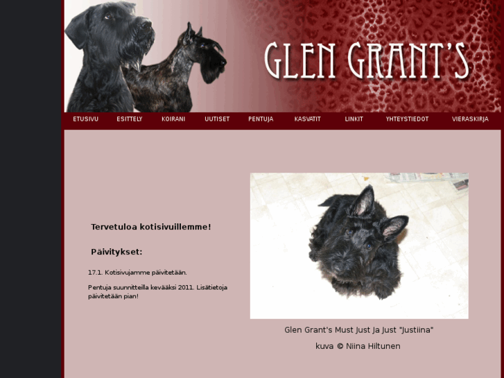 www.glengrants.com