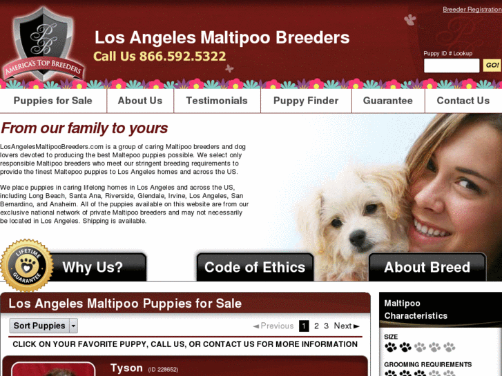 www.losangelesmaltipoobreeders.com