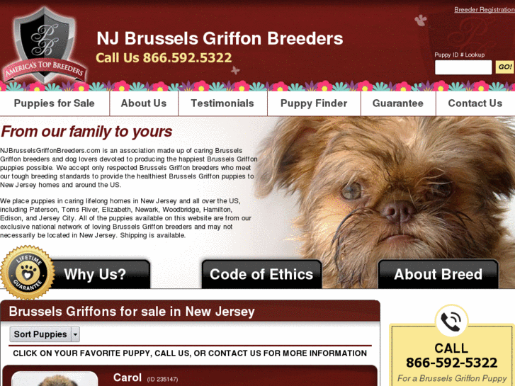 www.njbrusselsgriffonbreeders.com