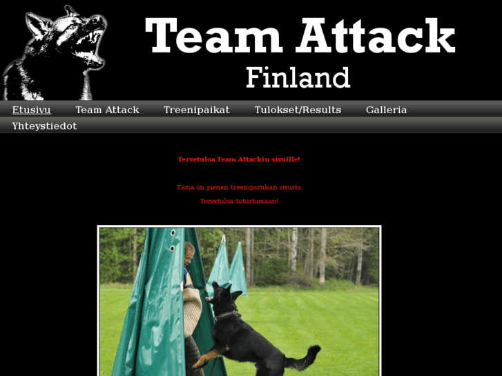 www.teamattack.net