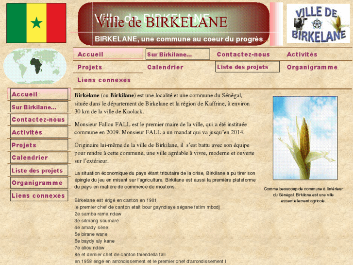 www.birkilane.com