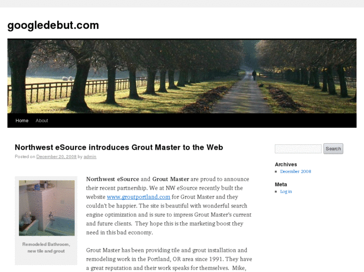 www.googledebut.com
