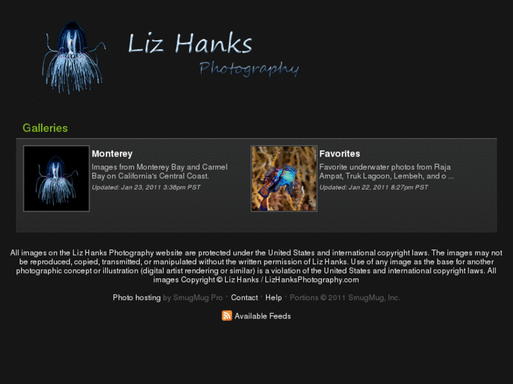 www.lizhanksphotography.com