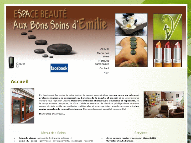 www.aux-bons-soins-d-emilie.com