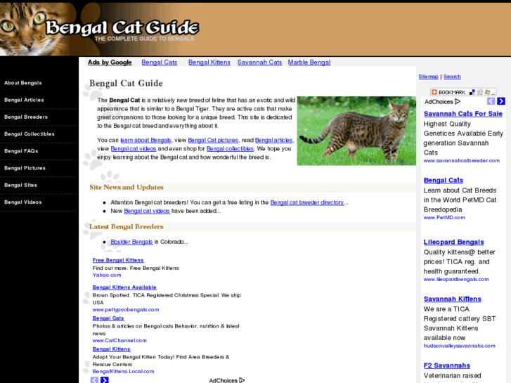 www.bengalcatguide.com