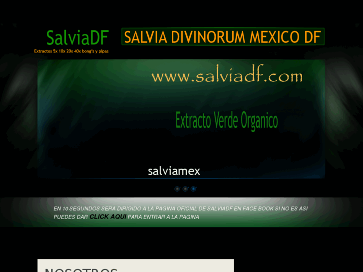 www.salviadf.com