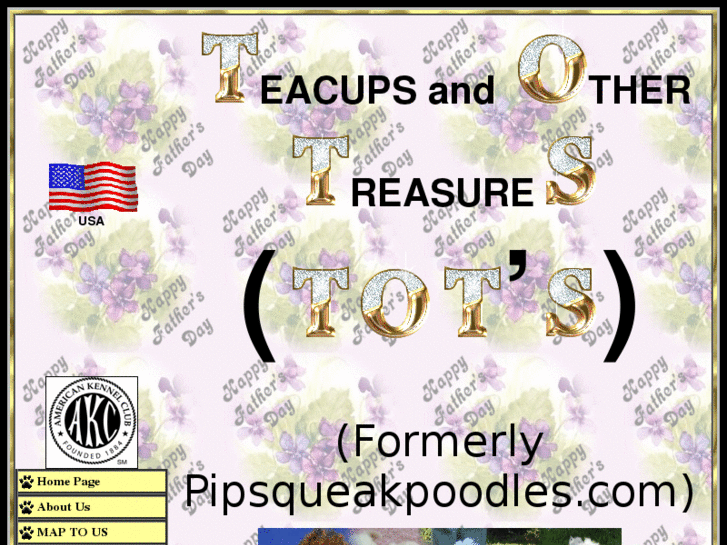 www.teacupsandothertreasures.com