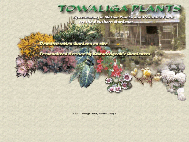 www.towaligaplants.com