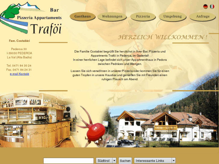 www.trafoei.com