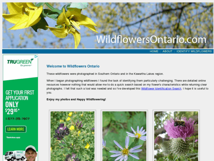 www.wildflowersontario.com