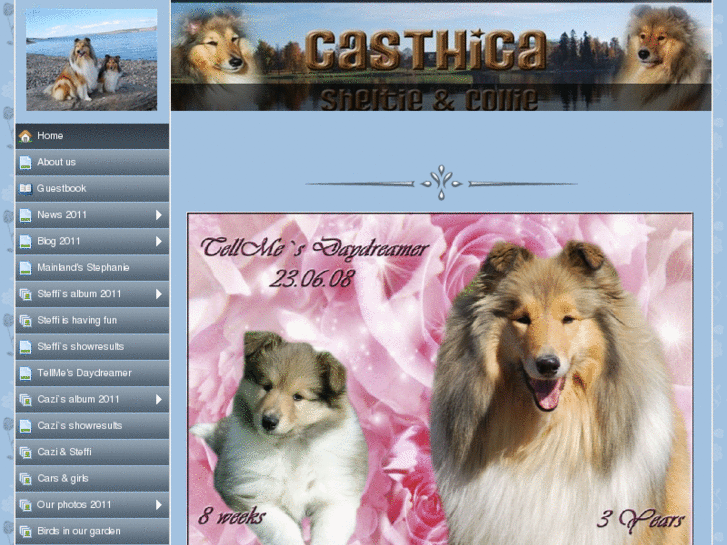 www.casthica.com