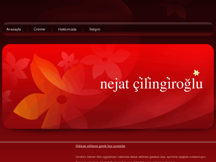 www.nejatcilingiroglu.com