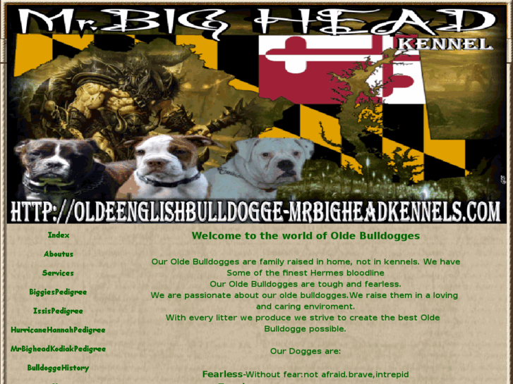 www.oldeenglishbulldogge-mrbigheadkennels.com