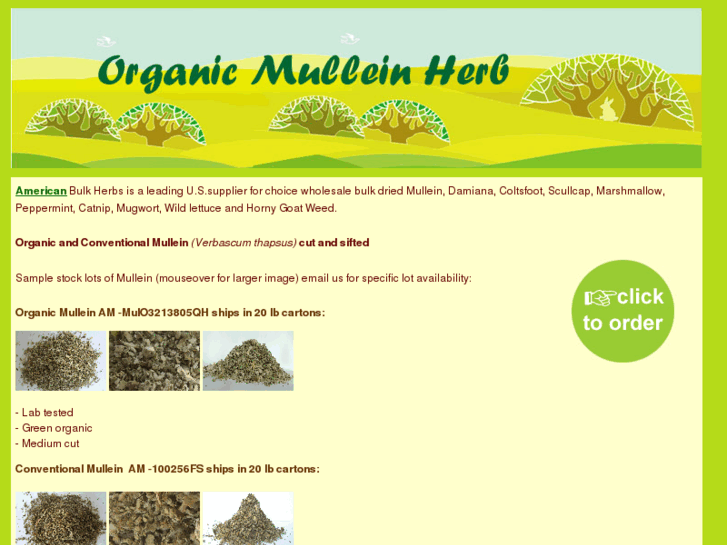 www.organicmullein.com