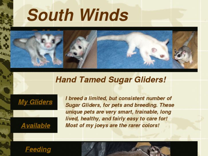 www.southwindsgliders.com