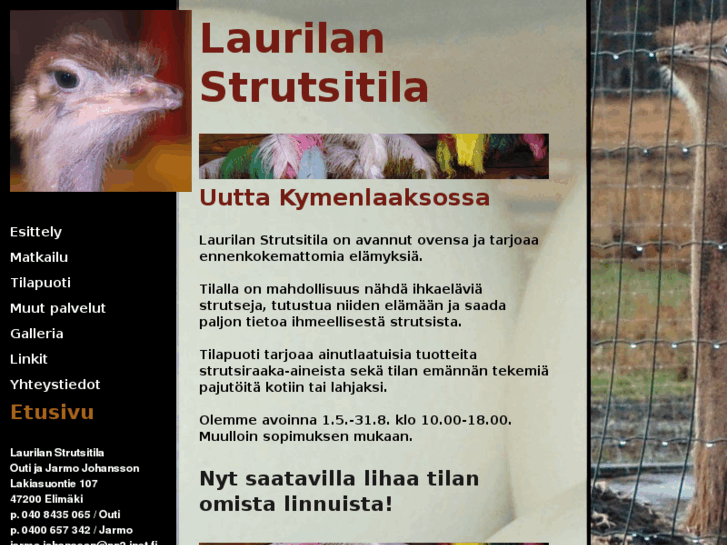 www.strutsitila.net