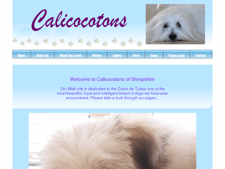 www.calicocotons.com