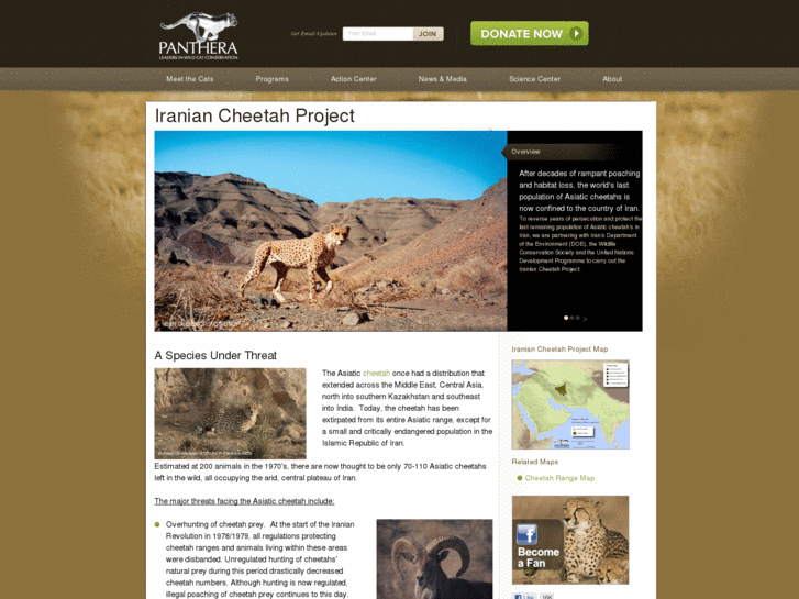 www.cheetahconservation.org